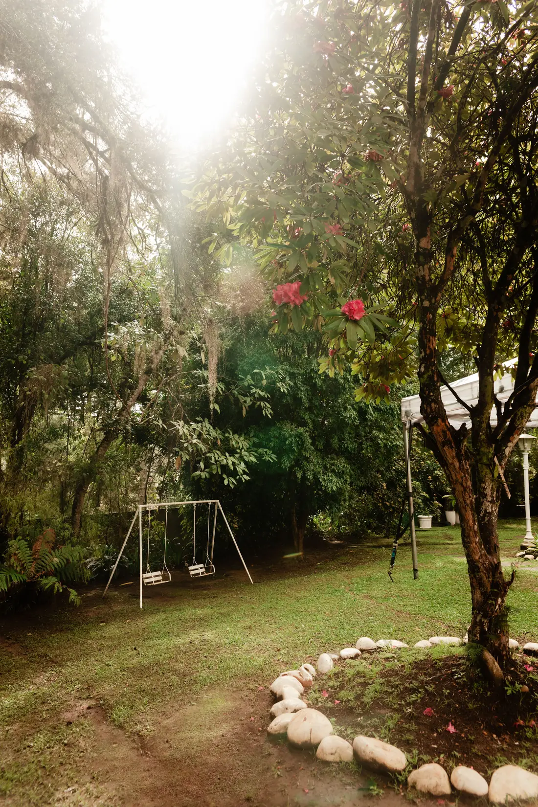 Cantinho do jardim com balanço entre as árvores floridas